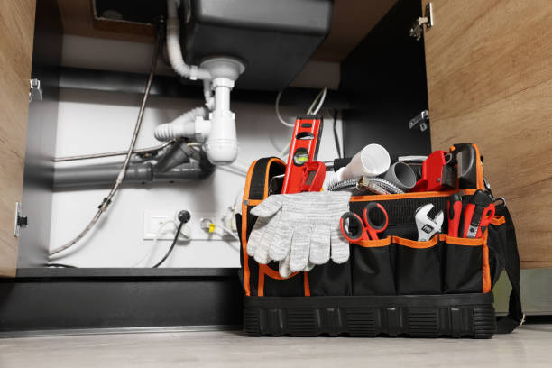 Best Toilet Repair Services  in Detroit Beach, MI