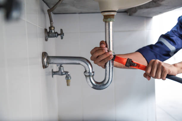 Best Sewer Line Repair  in Detroit Beach, MI