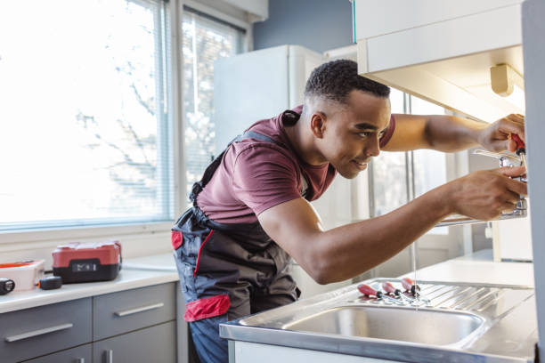 Best Affordable Plumbing Services  in Detroit Beach, MI