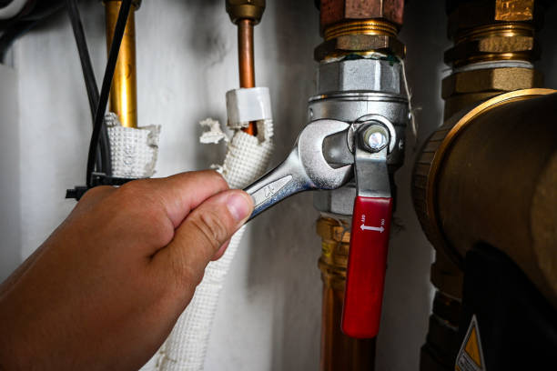 Best Septic Systems  in Detroit Beach, MI